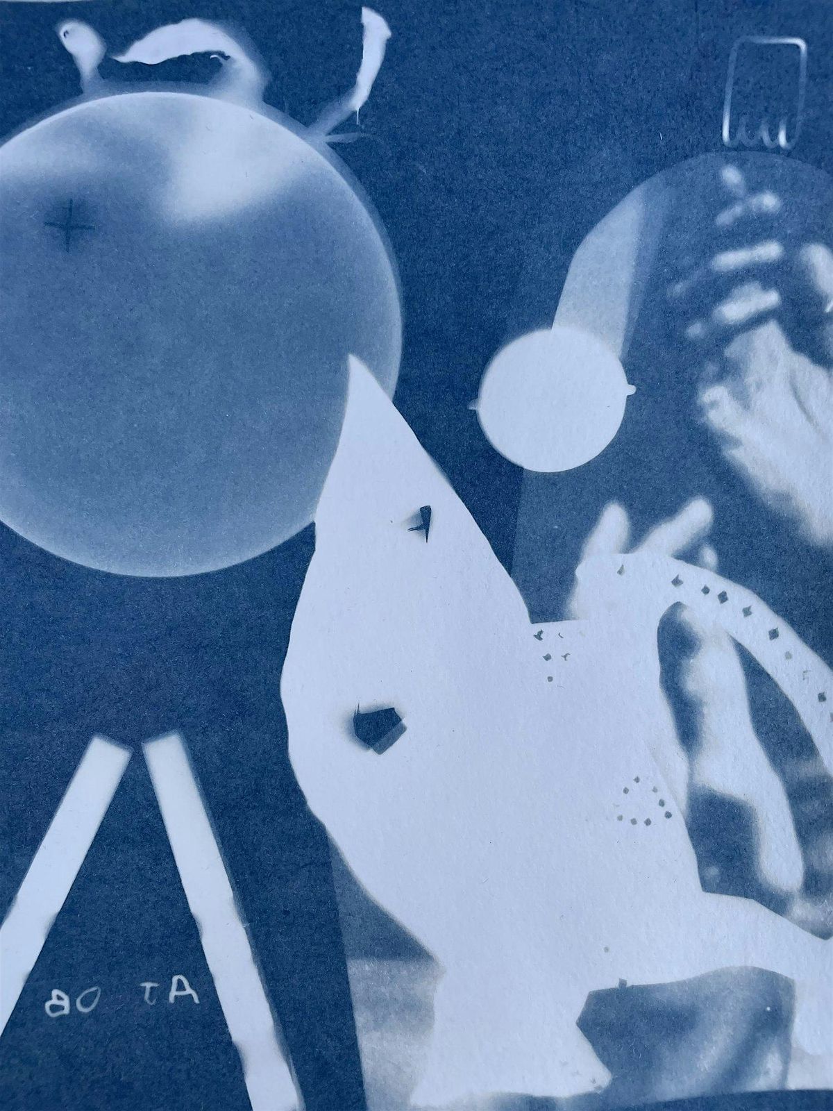 Cyanotype Workshop, 29 November | Event in Indianapolis | AllEvents