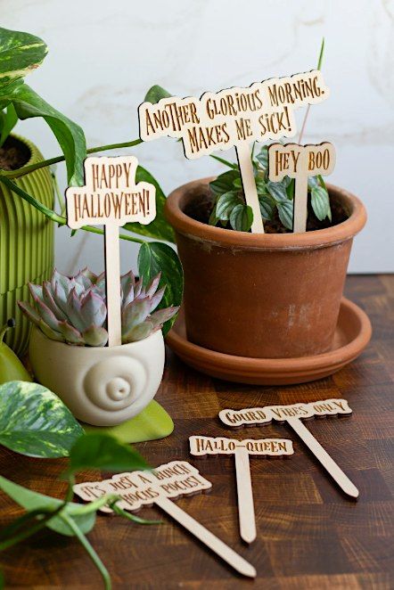 Pints & Plants at The Hut