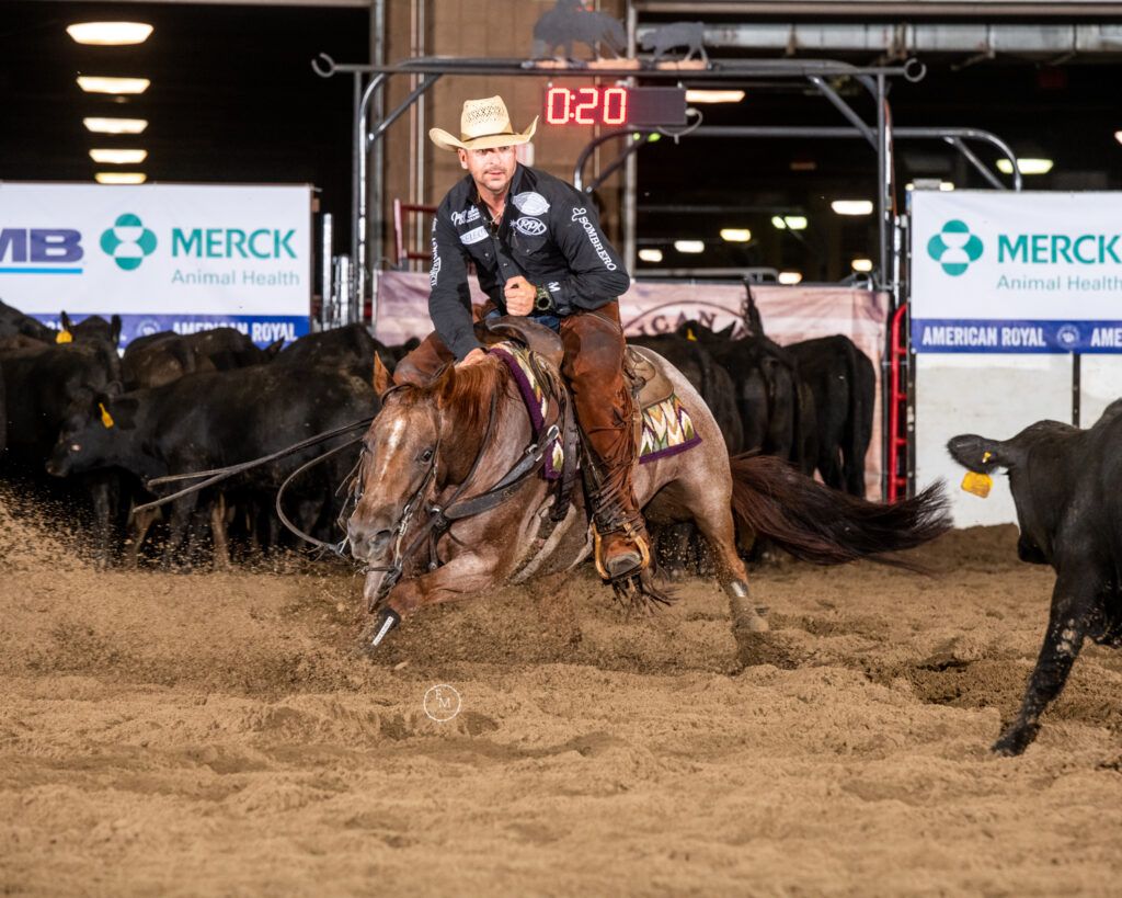 Hilary Watson Memorial Cutting Horse Show at Hale Arena, 20 September | Event in Kansas City | AllEvents