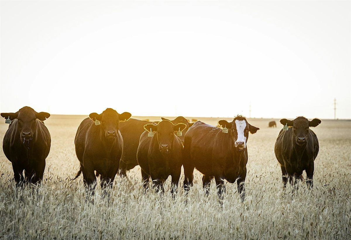 Central Utah Beef Field Days-Richfield