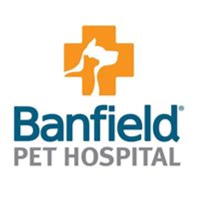 Banfield in Hoover
