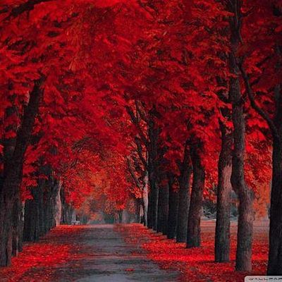 Red October Events logo