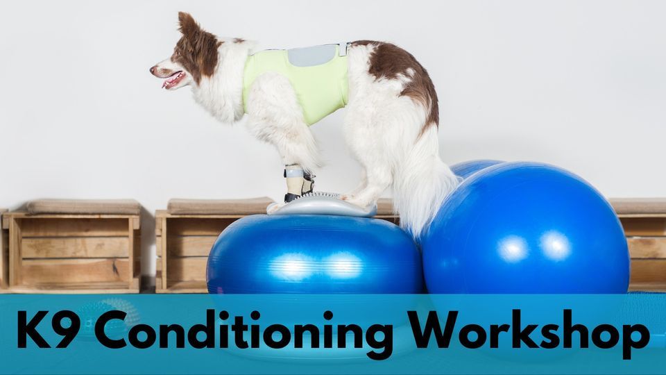 K9 Conditioning Sit Happens Dog Training, Lafayette, November 29 2023 AllEvents.in