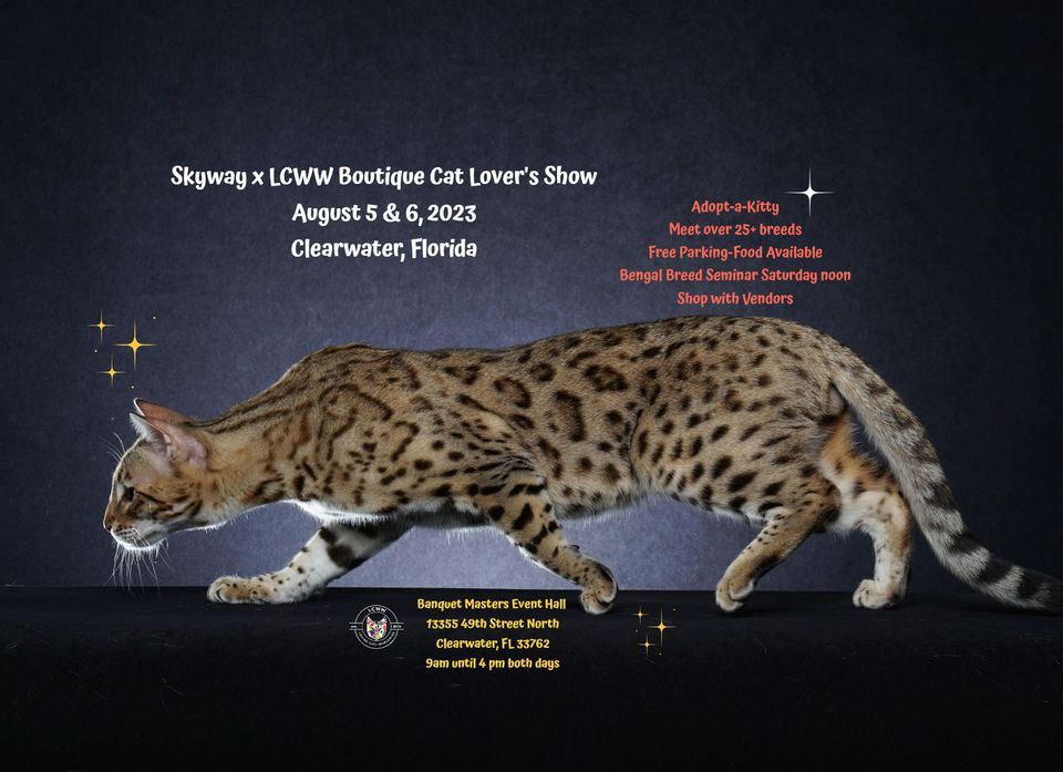 Skyway Cat Clubs Cat Show Adoption Event LCWW Boutique Banquet Skyway Cat Clubs Cat Show Adoption Event LCWW Boutique Banquet