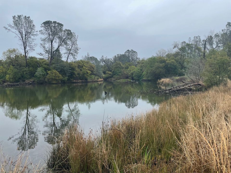 Walking Through History at Willow Creek, Willow Creek/ Lake Natoma