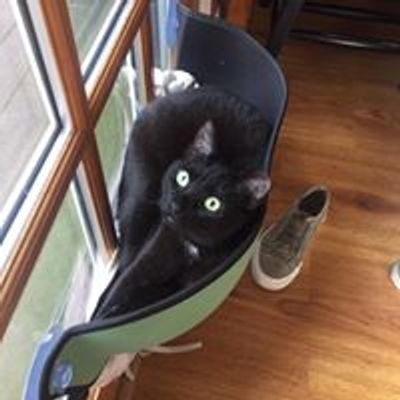 Rebecca's Rescues