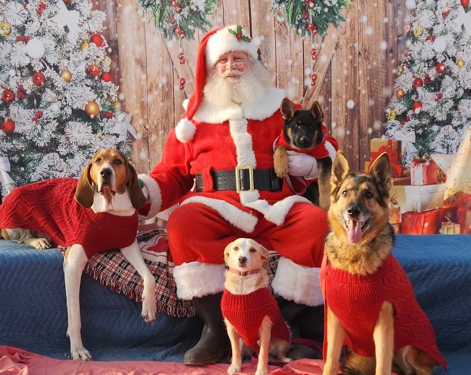 Santa Pet Pictures, Pacific NW Pet Center, Chehalis, November 18 2023