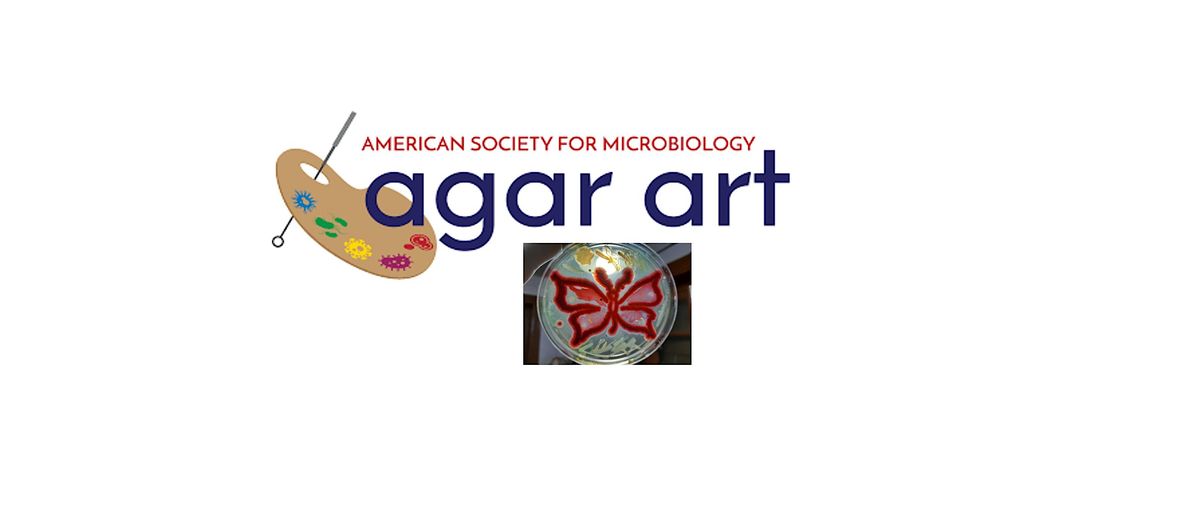 Agar Art Workshop, Baltimore Under Ground Science Space, 17 October ...