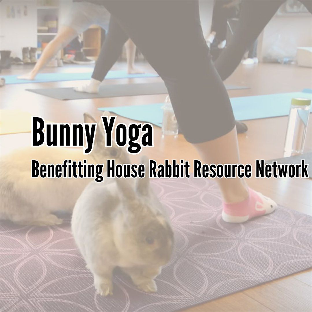 Bunny Yoga Benefiting House Rabbit Resource Network, 17 January | Event in Austin | AllEvents