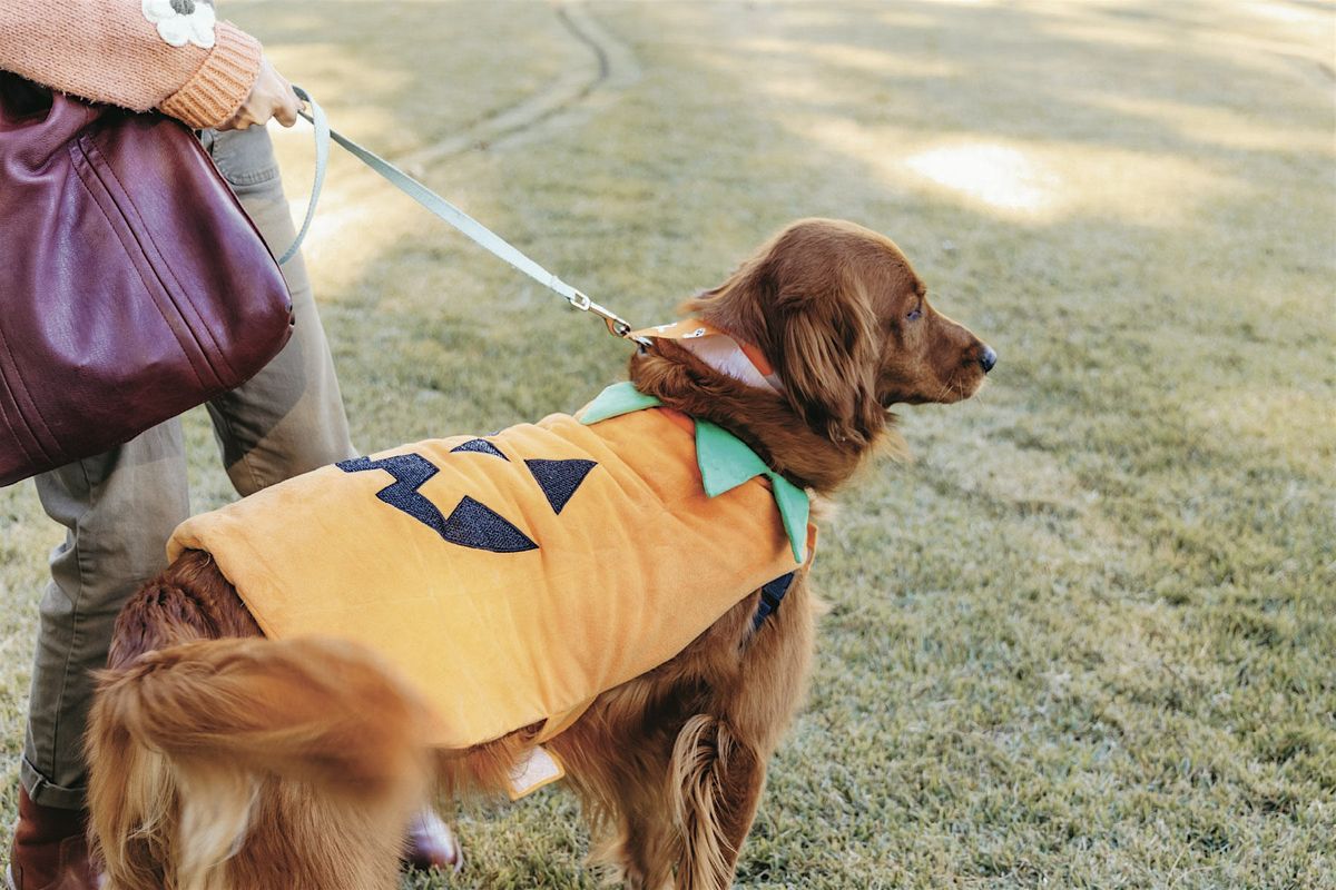Barks & BOOze, Moore Farms Botanical Garden, Lake City, 24 October 2026 ...