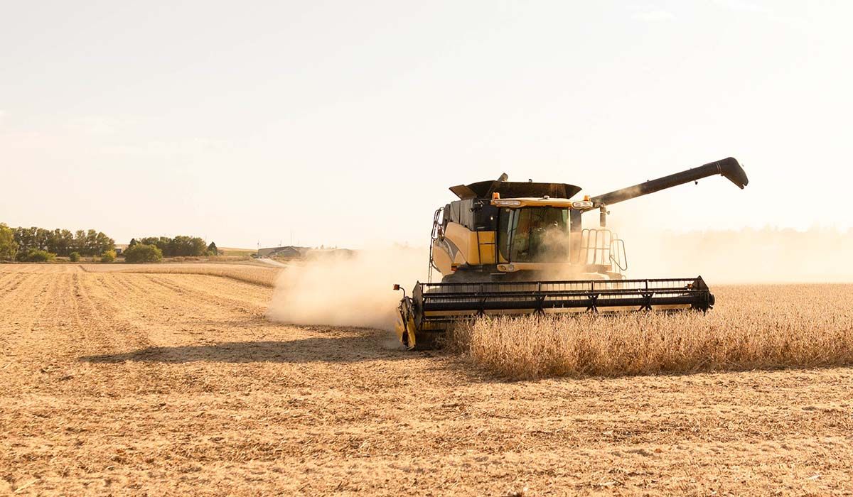 Reaper, 31 December | Event in Washington | AllEvents