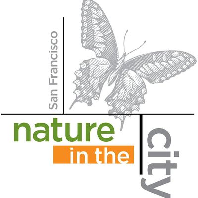 Nature in the City logo