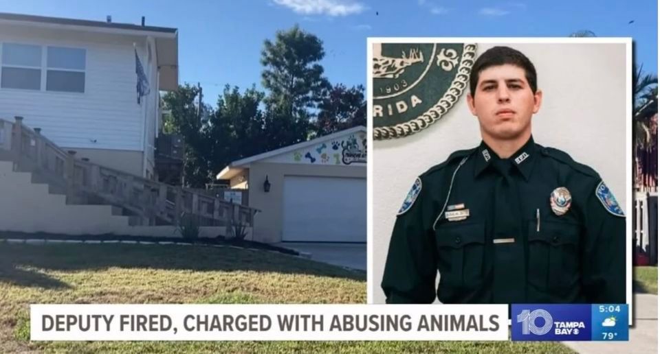 Nicholas Zotto Civil Lawsuit Trial For Severe Injury To Animal At