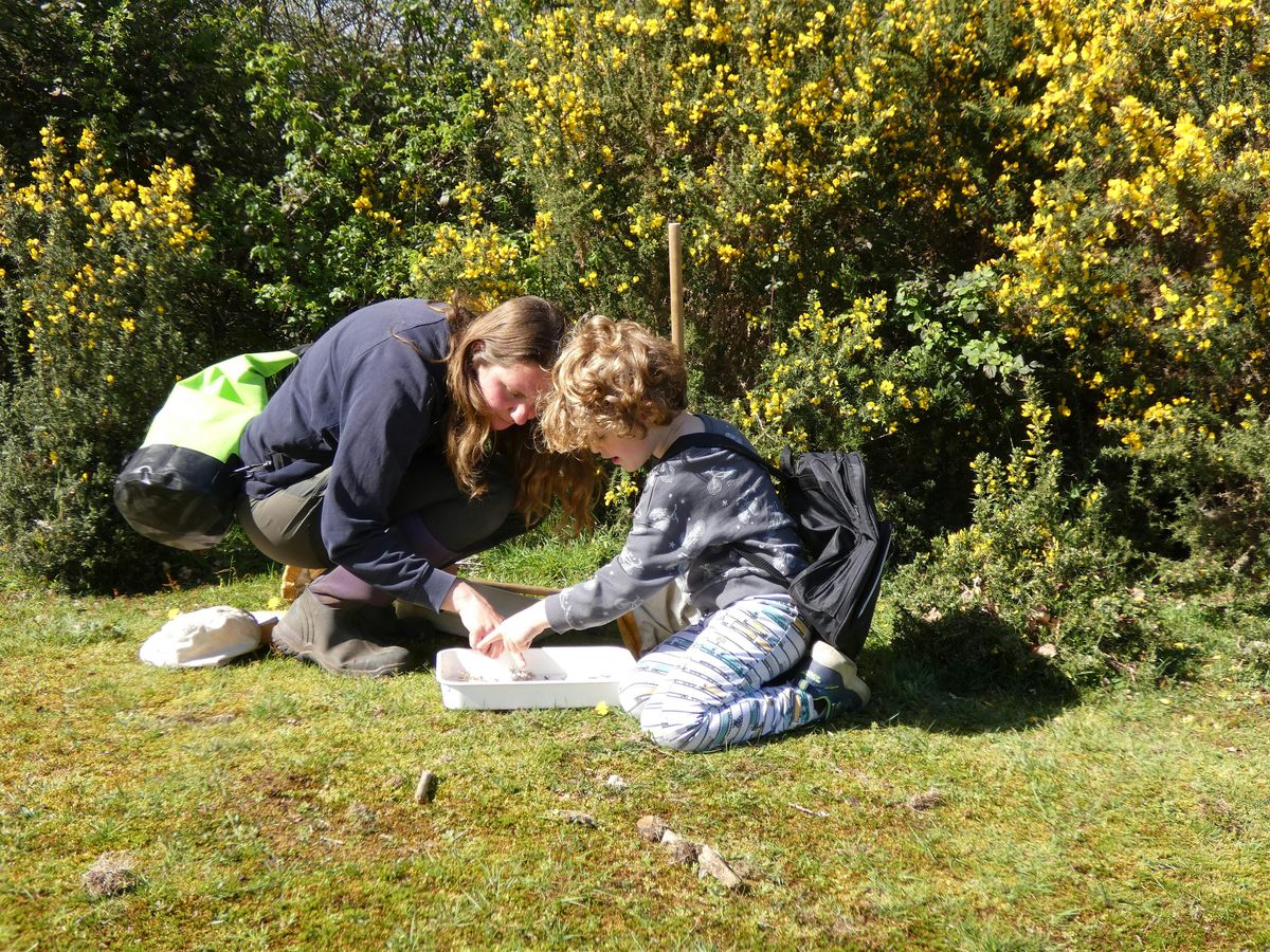 Naze Wildlife Discovery, The Naze Nature Discovery Centre, Harwich ...