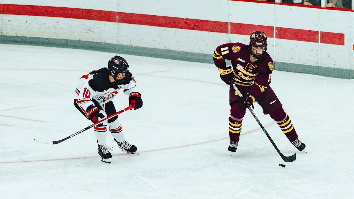 Ohio State Buckeyes Women's Hockey vs. Minnesota Duluth Bulldogs, 30 January | Event in Columbus | AllEvents