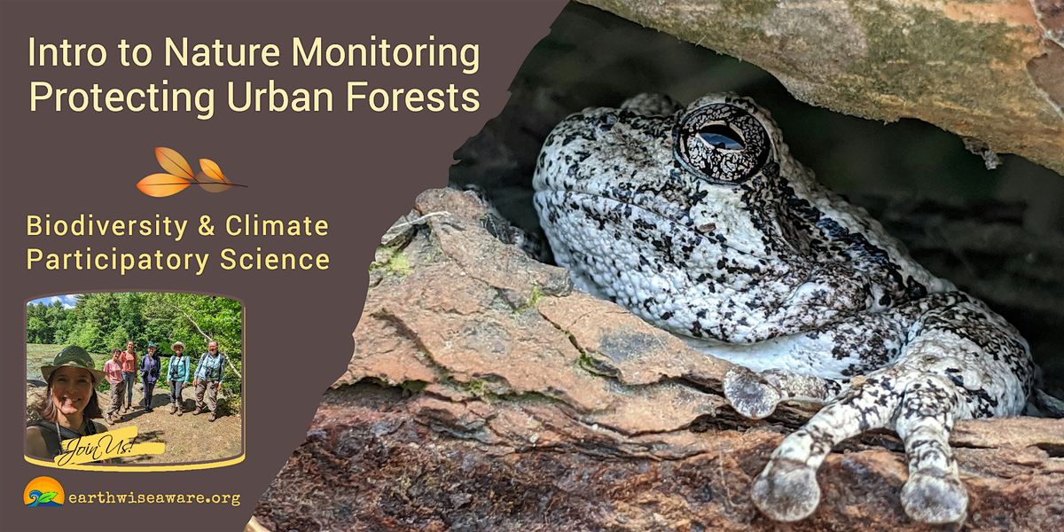 Introduction to Nature Monitoring – Protecting Urban Forests, 14 September | Event in Medford | AllEvents