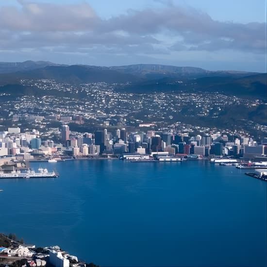 Wellington Shore Excursion City Sightseeing Tour, 2 June | Event in Wellington | AllEvents