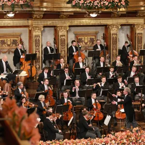 Wiener Philharmoniker in Hamburg