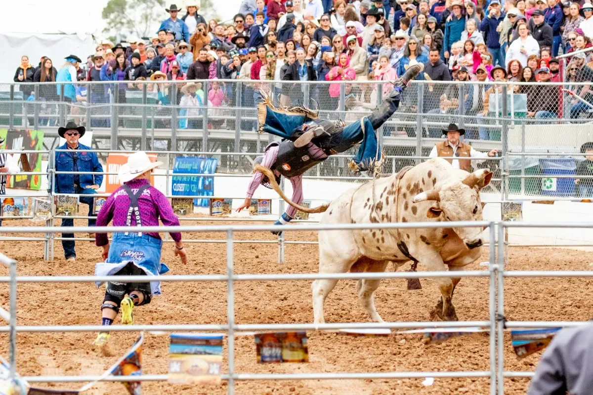 Landmark Park PRCA Rodeo, 29 May | Event in Dothan | AllEvents