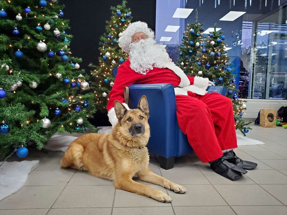 NWAS Pet Pictures With Santa, Coast