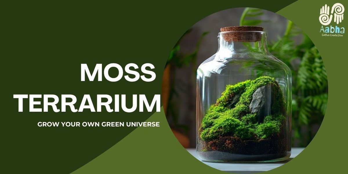 DIY Terrarium