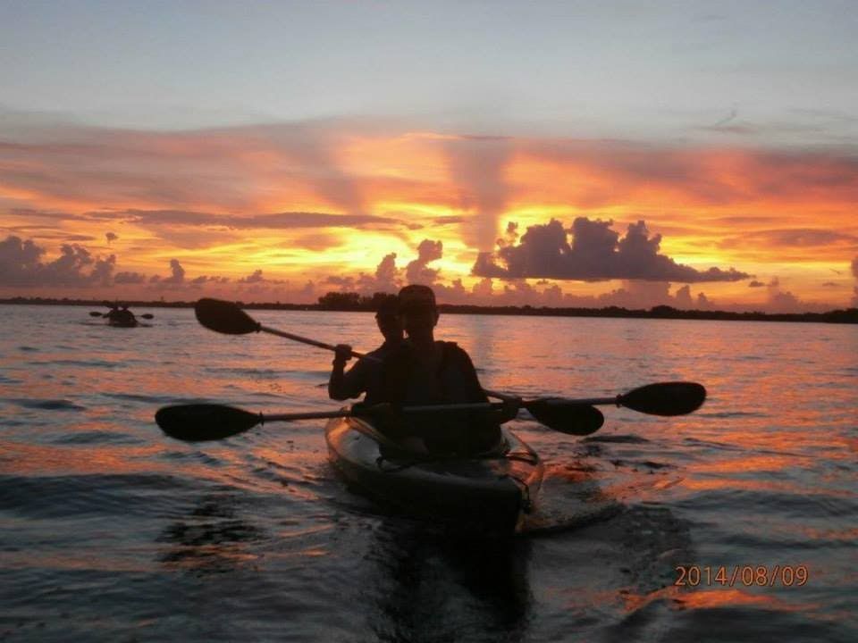 Sunset/Bird Rookery Kayak Tour on the Caloosahatchee River, Fort Myers ...