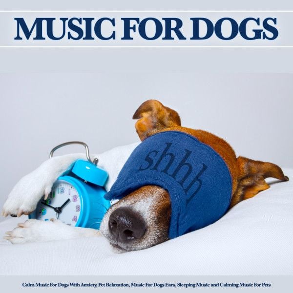 Music For Dogs