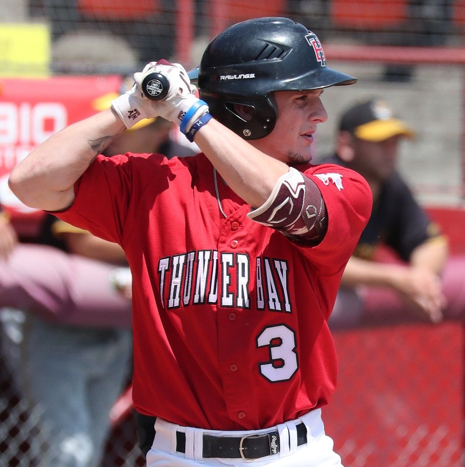 Thunder Bay Border Cats vs. Rochester Honkers | Event in Thunder Bay | AllEvents