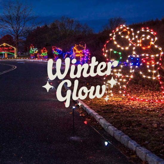 Winter Glow Experience: A Drive-Thru Holiday Light Show | Event in Pleasanton | AllEvents
