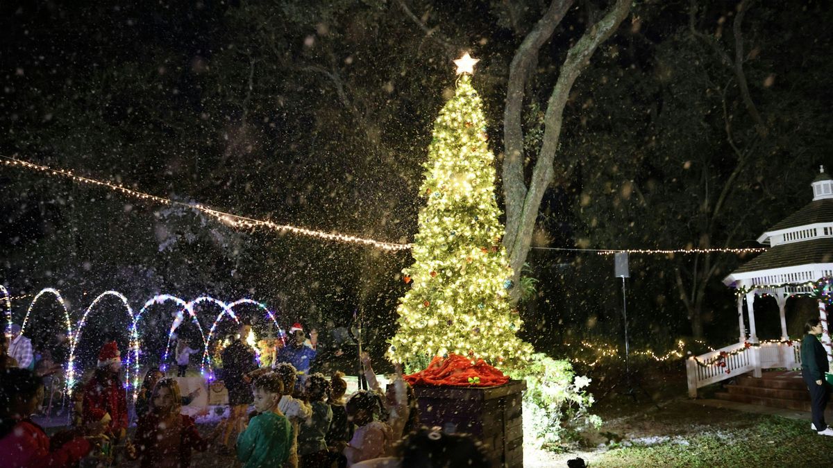 Temple Terrace Winter Wonderland | Event in Temple Terrace | AllEvents