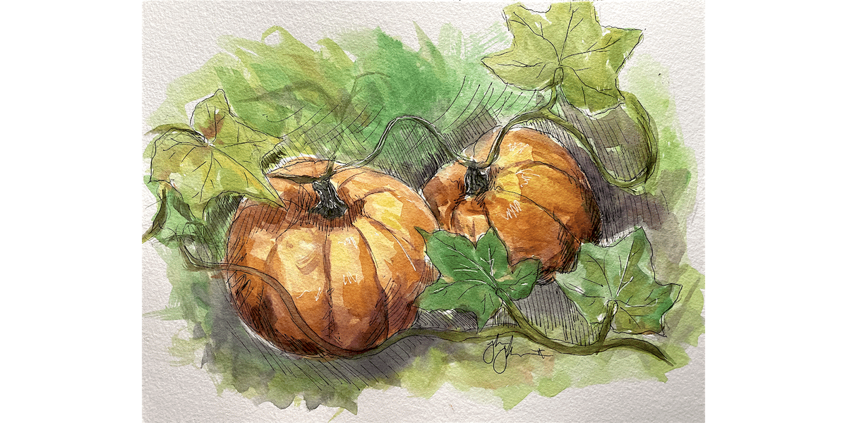 Plump Watercolor Pumpkins - Paint and Sip in Orlando | Classpop!™, 25 November | Event in North Port | AllEvents