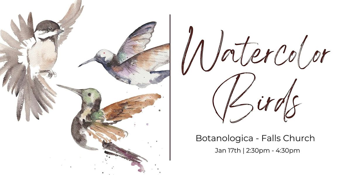 Watercolor Workshop - Birds, 17 January | Event in Falls Church | AllEvents