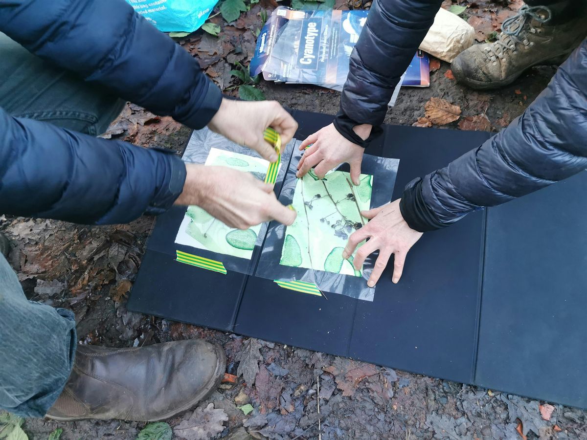 Story Weaving - Free creative workshops in nature