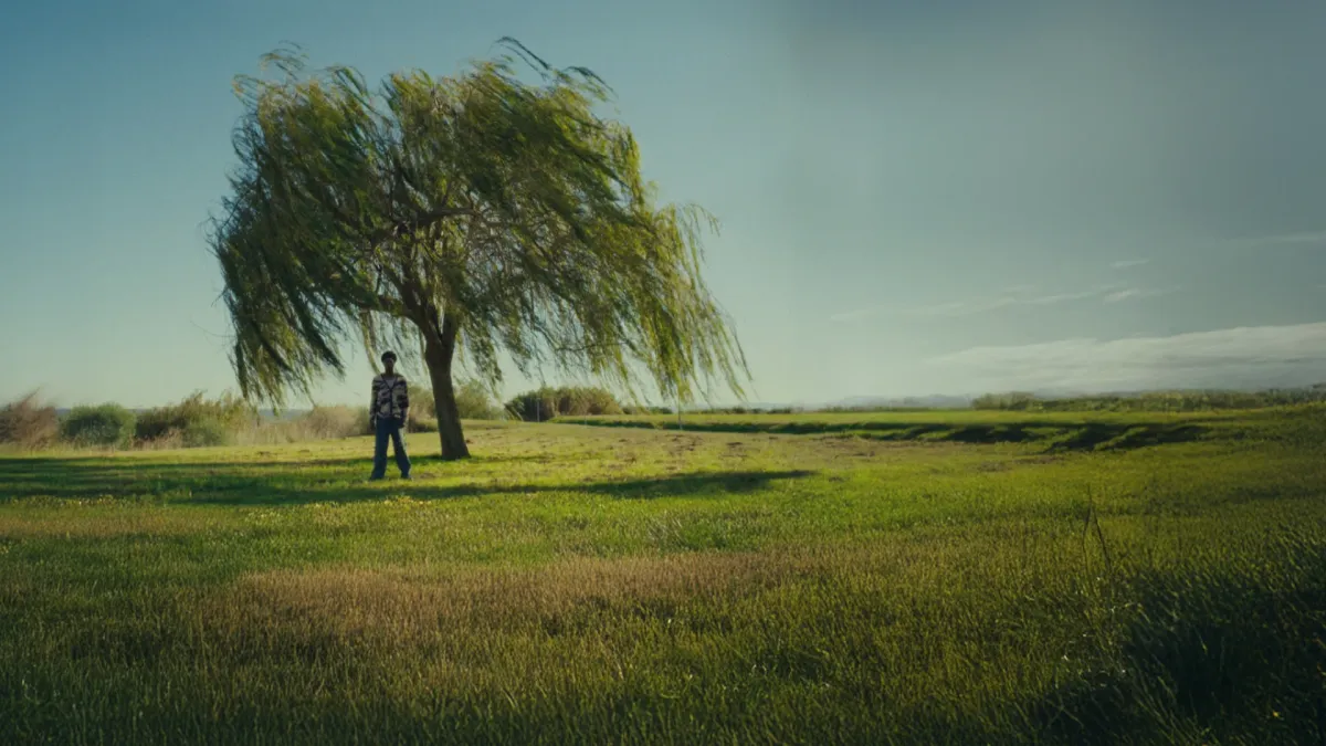 Papillon in Lisboa, 20 March | Event in Lisbon | AllEvents