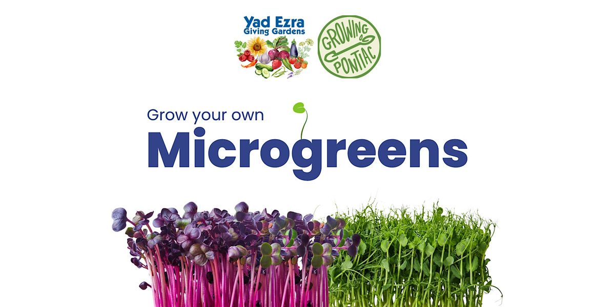 Grow Your Own Microgreens Workshop, 24 February | Event in Berkley | AllEvents