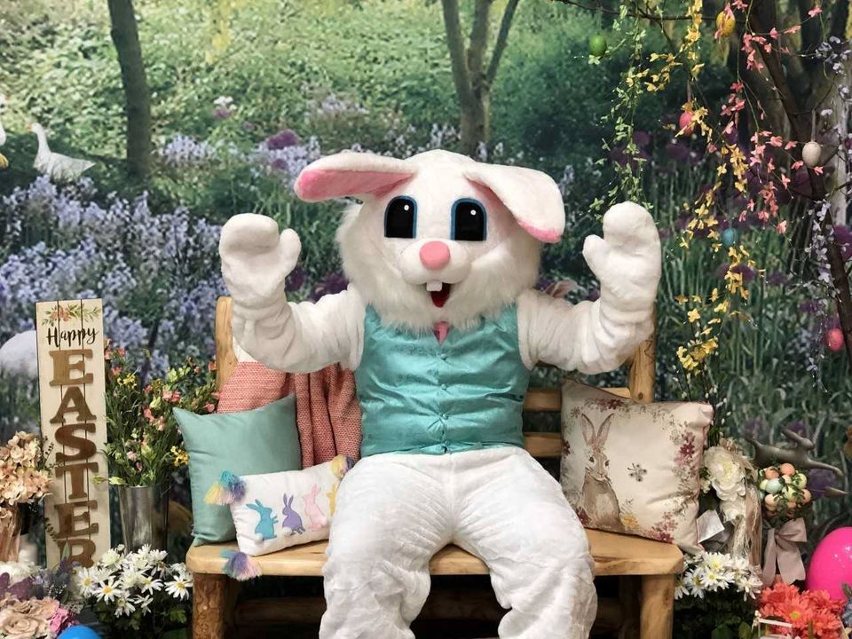 Easter Bunny Photos, 1 Cabela Dr, Allen, TX 750022816, United States