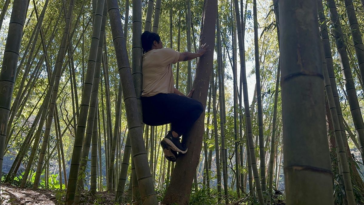 Sacred Reset: Trauma Release & Nervous System Renewal for Women, 6 December | Event in Dunnellon | AllEvents