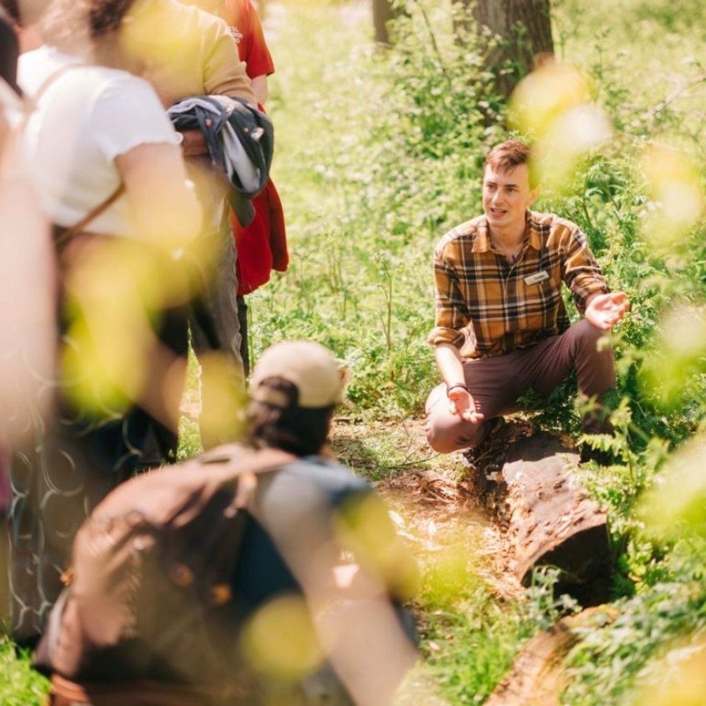 Queer Ecology Walk, 6 September | Event in Wimbledon | AllEvents