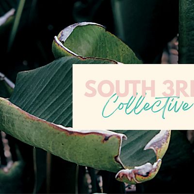 South 3rd Collective logo