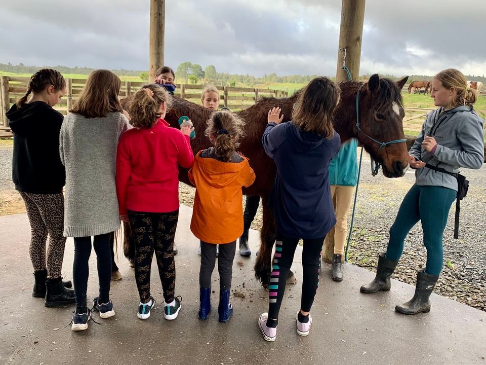 School Holiday Programme Christmas Craft/Horse Riding, Pyes Pa, Bay