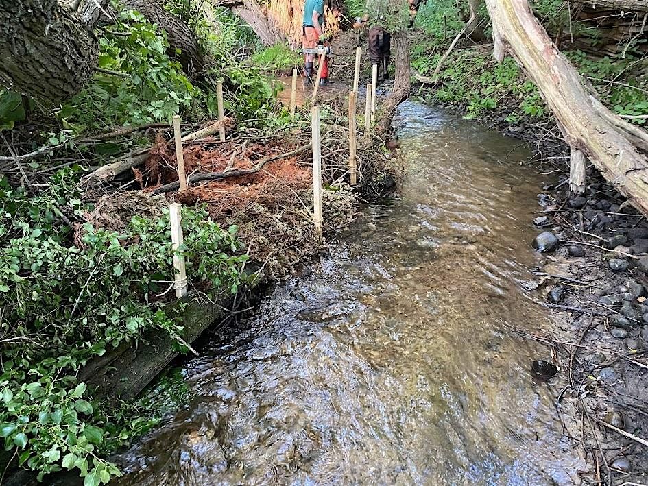 Stream Restoration 101: Why We Do What We Do