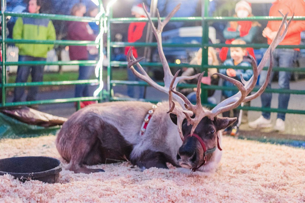 Holiday Block Party 2025!, 14 December | Event in Seattle | AllEvents