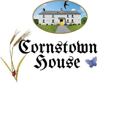 Dominic and Fionnuala Gryson logo