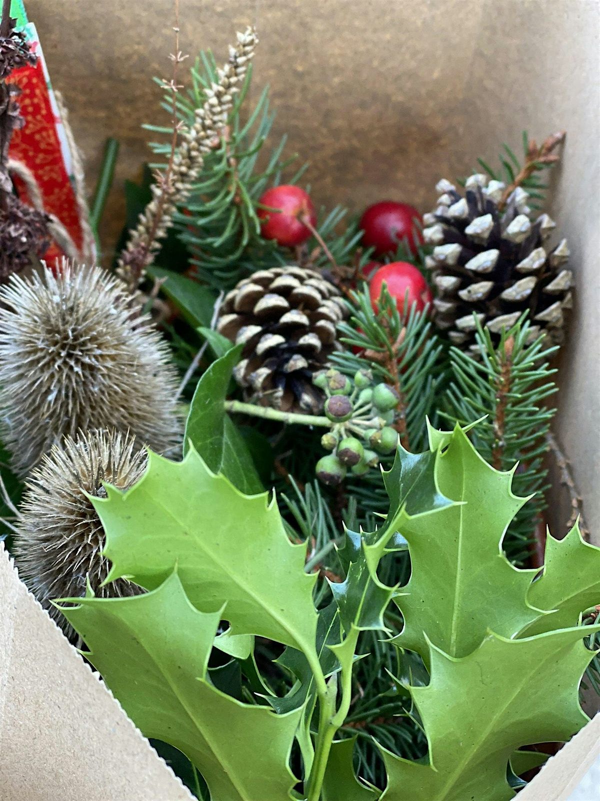 Winter Wreaths at Chopwell Wood – Green Health Routes Workshop, 6 December | Event in Rowlands Gill | AllEvents