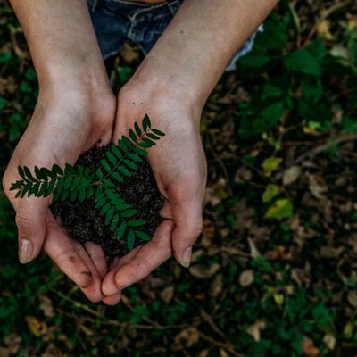 Amber Kilpatrick | Eco-Spiritualist