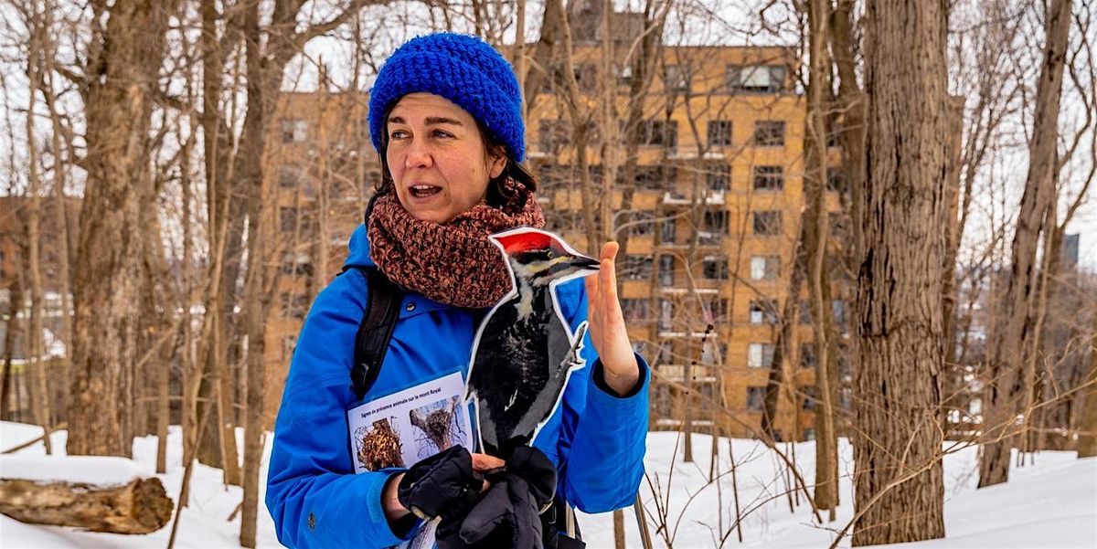 Randonnée familiale pédestre: Les oiseaux, c'est chouette!, 2 January | Event in Montréal | AllEvents