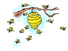 Beginning Beekeeping Class 2026, 17 January | Event in Parksley | AllEvents