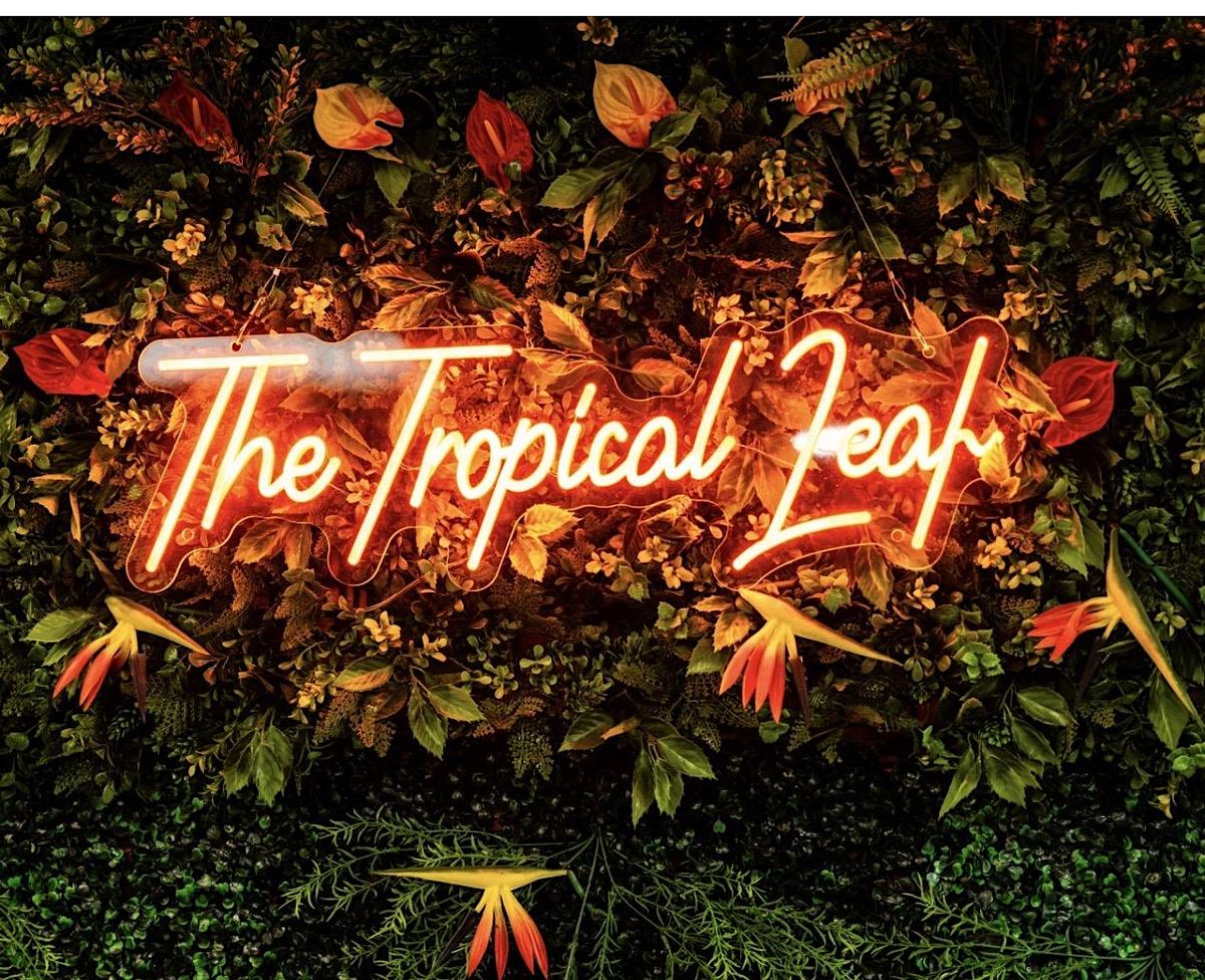 Tropical Leaf Soirée de Noel, 24 December | Event in Margate | AllEvents