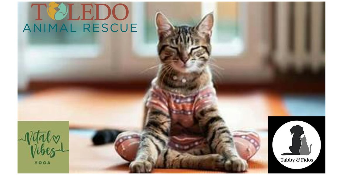 Purr-Fectly Yoga, 23 December | Event in Bowling Green | AllEvents