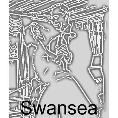 Swansea Wedding Dances logo